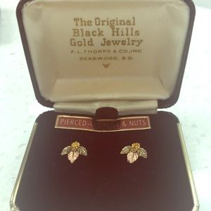 Black Hills 14k gold Earrings